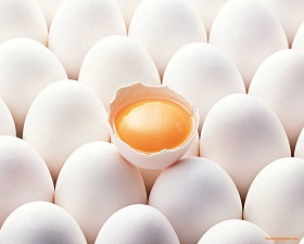 صادرات تخم مرغ به عراق از سر گرفته شد