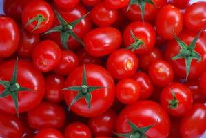 با صادرات گوجه به عراق، پای گوجه چینی به بازار ایران باز شد