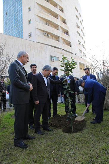 کاشتن نهال در روز درختکاری توسط مدیرعامل بانک ملّی ایران 